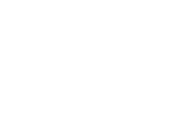 Di's Mountain Bagels